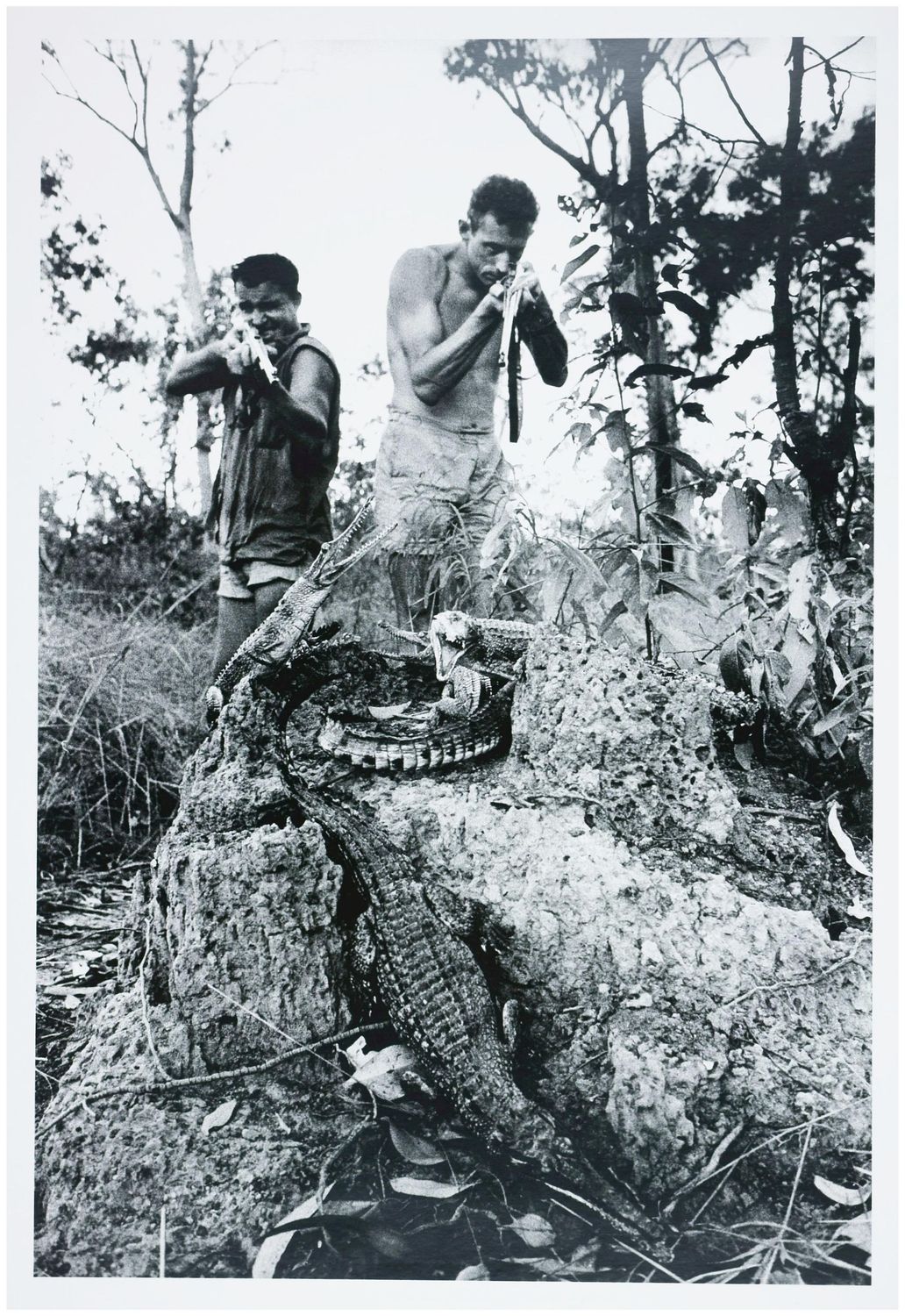 Moses, Stefan (1928 - 2018), Krokodiljäger, um 1955