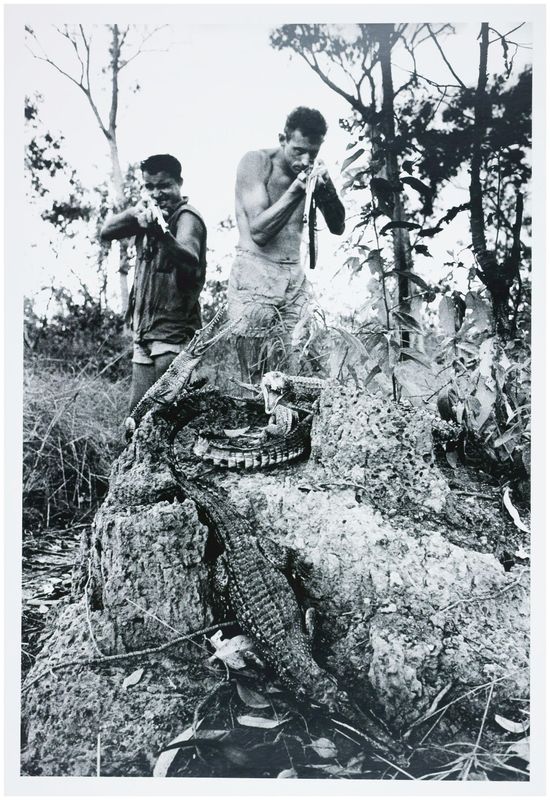 Moses, Stefan (1928 - 2018), Crocodile hunter, c. 1955