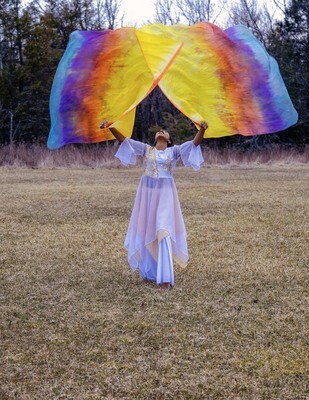 BOOST OF SUNSHINE. Silk Worship Flags