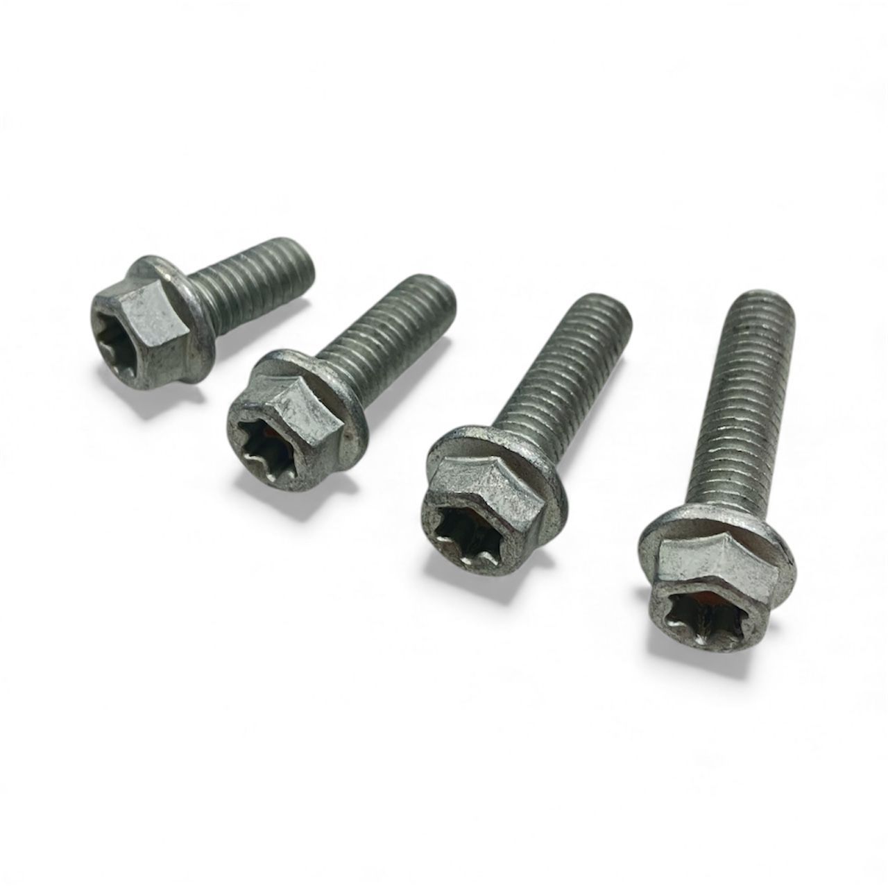 OEM TYPE SCREWS