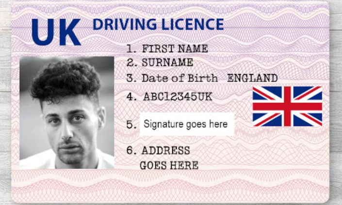 novelty ids