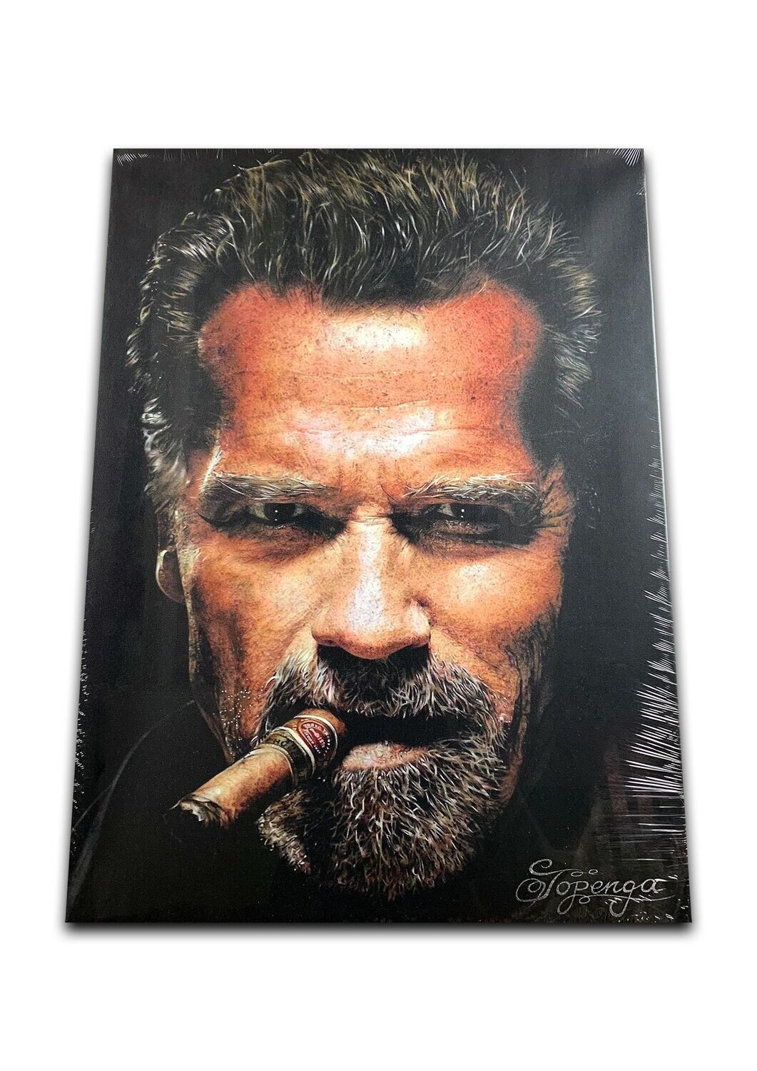 Arnold Schwarzenegger - Leinwanddruck