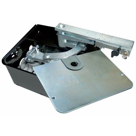 FROG MOTORE INTERRATO MOTORID. 230 V AC PER ANTE FINO A 3,5M 001FROG-A