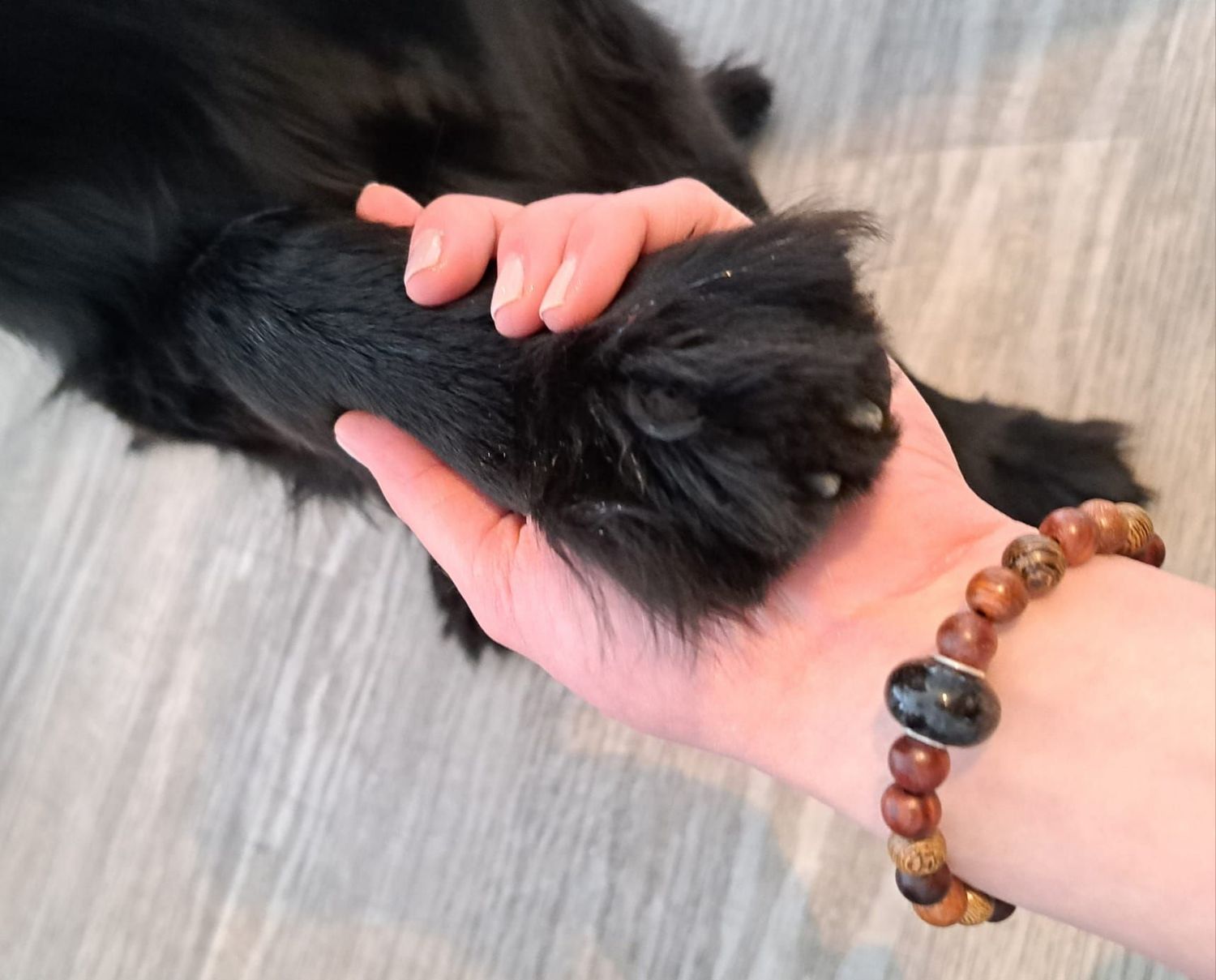 Handgefertigte Tierhaarperle mit Armband aus Naturholzperlen
