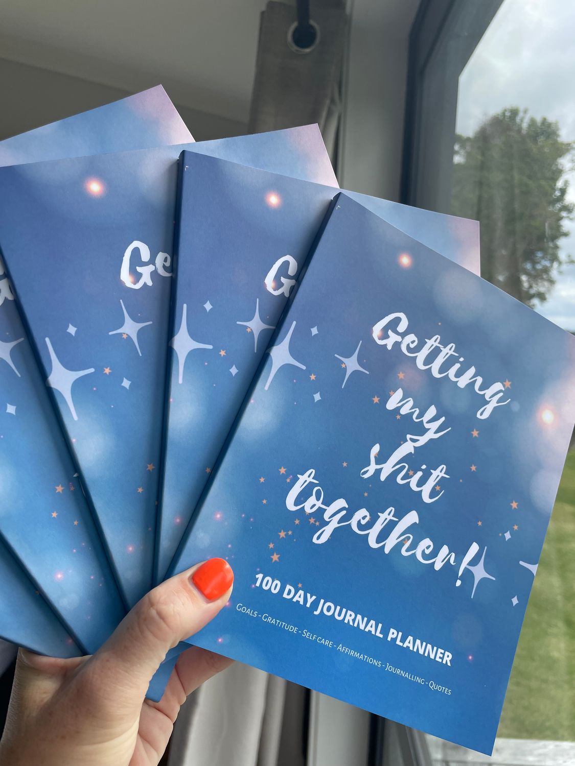 100 Day Journal Planner “Getting my shit together”