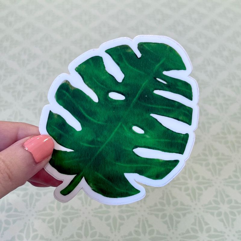 Monstera Leaf