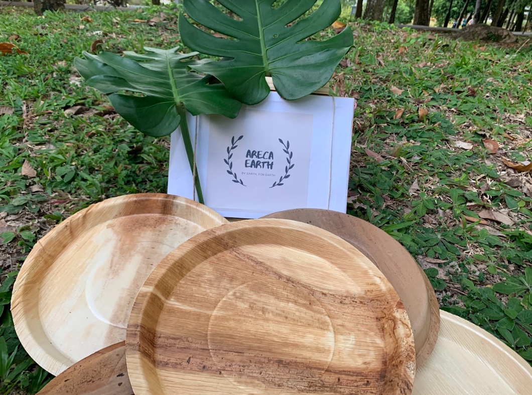 Areca 12-inch plates