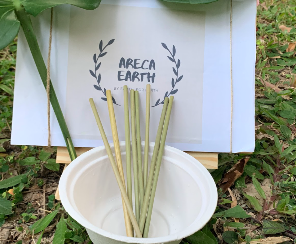 Large Grass straws