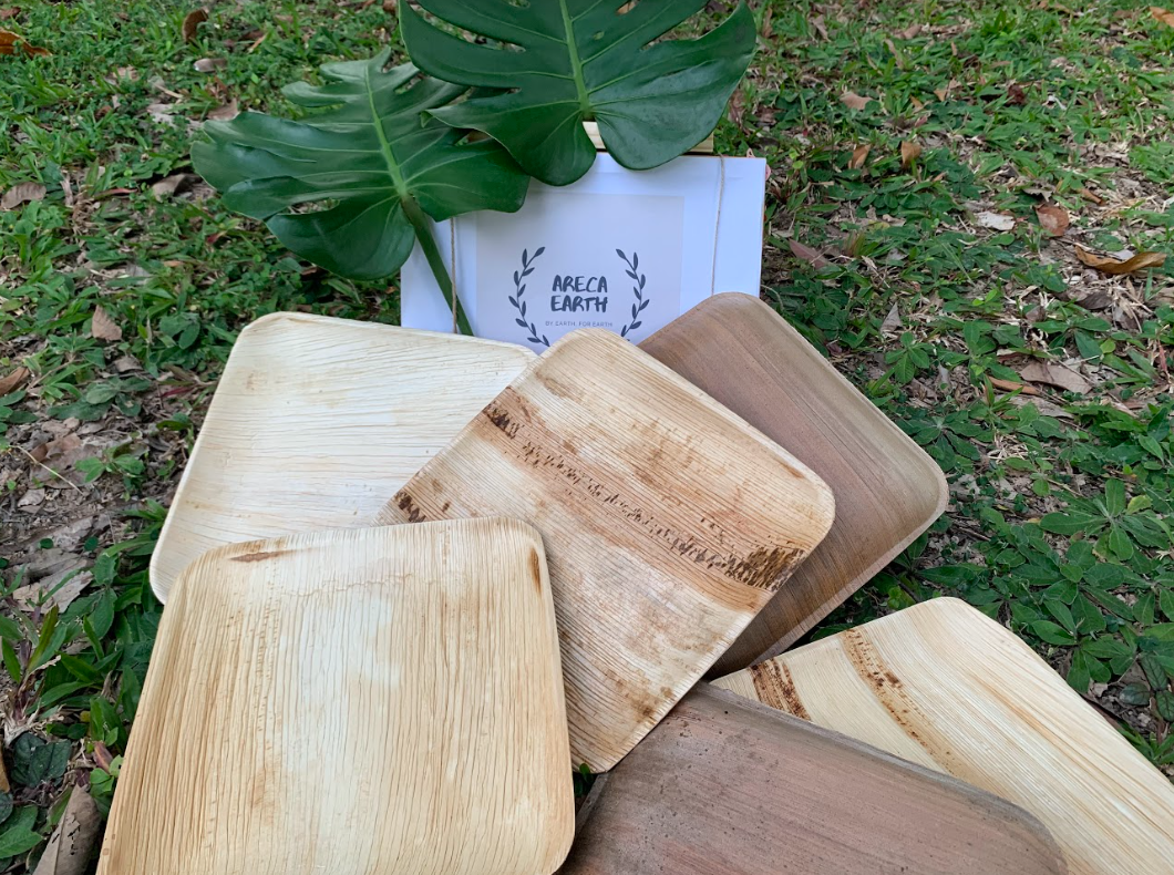 Areca 10-inch square plates