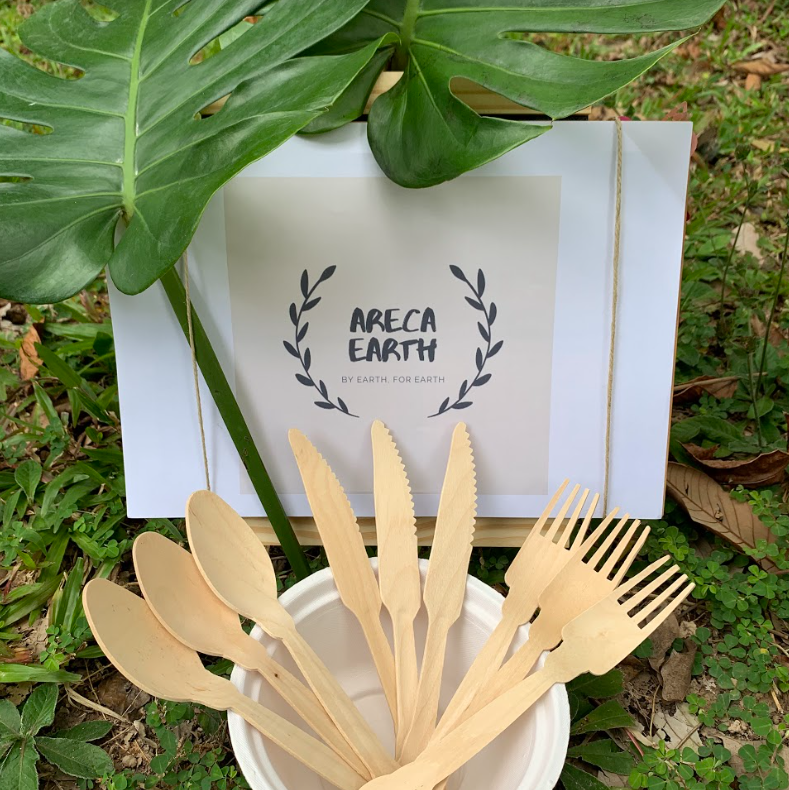 Birch wood cutlery