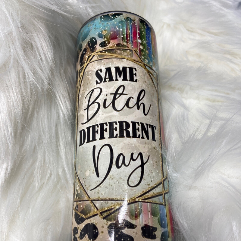 Same Bitch Different Day