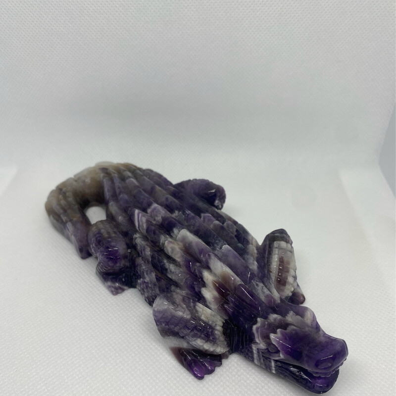 Alligator