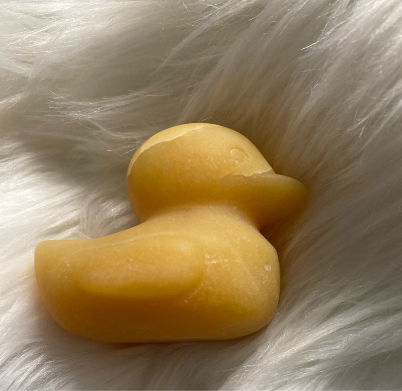 Momma Duck