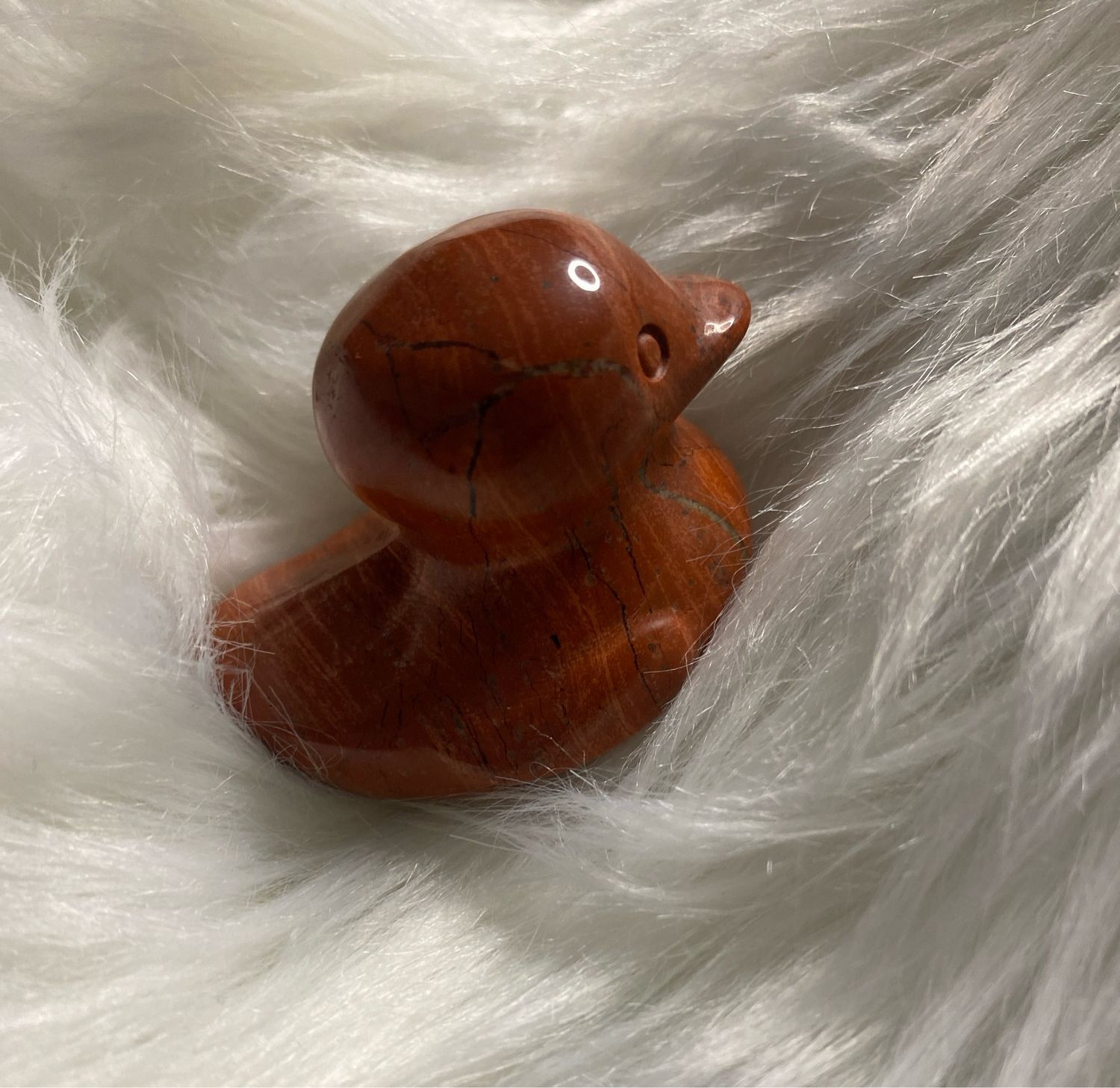 Baby Duck Jasper