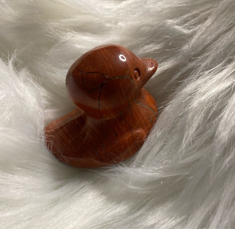 Baby Duck Jasper