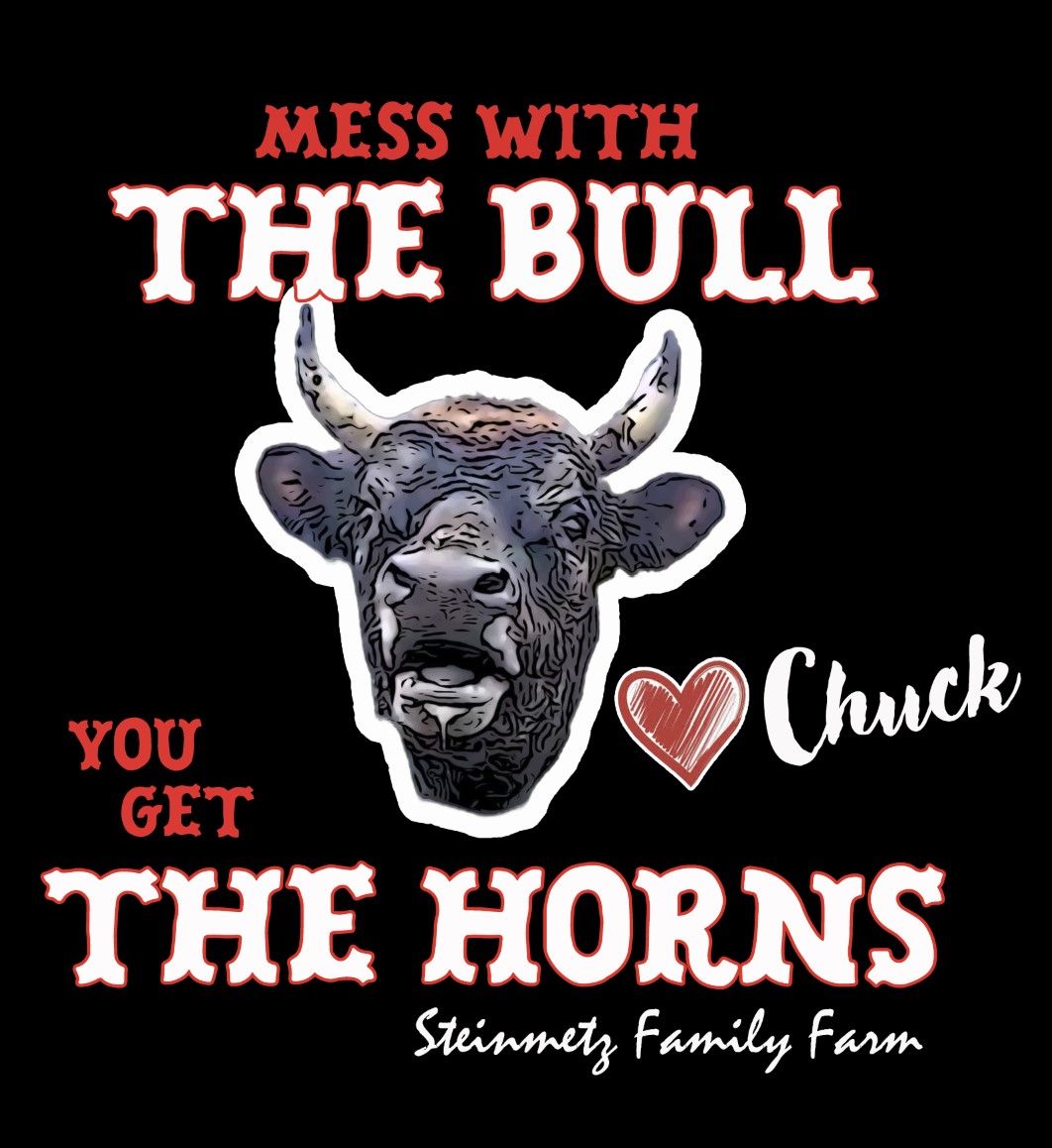 Kids- Mess with the Bull Short Sleeve Shirt