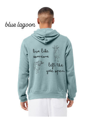 Like Like Someone...Adult Hoodie