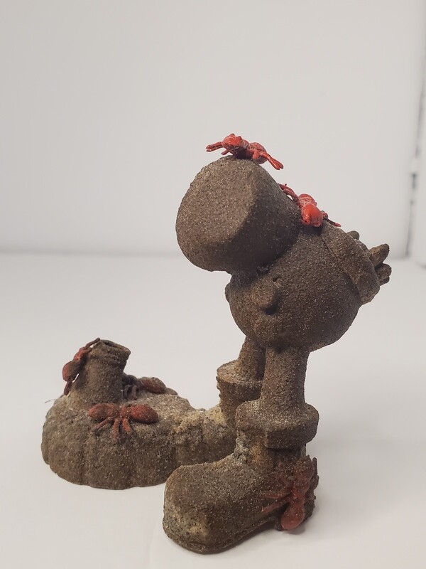 Ant Hill Bug