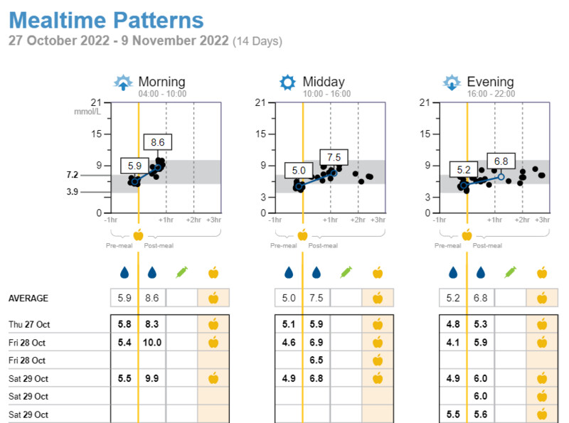 Personal blood sugar monitoring - 28 days - Supply and Analysis.