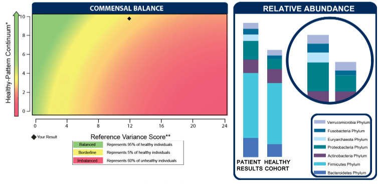 Basic Gut Health (Microbiome) test