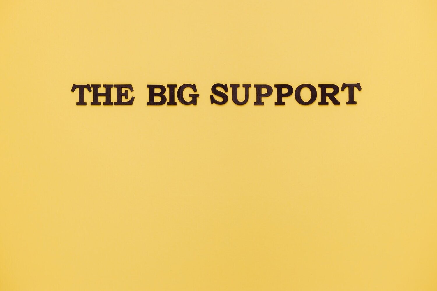 Enhanced Support Plan (Monthly)
