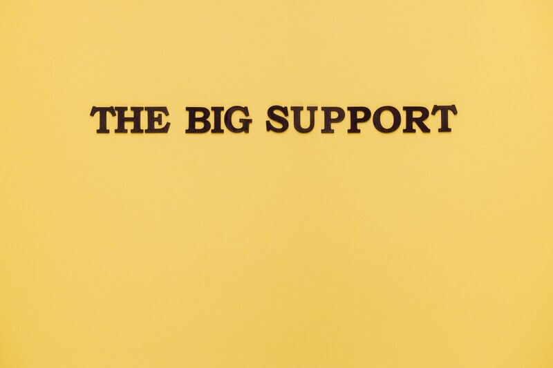 Enhanced Support Plan (Monthly)