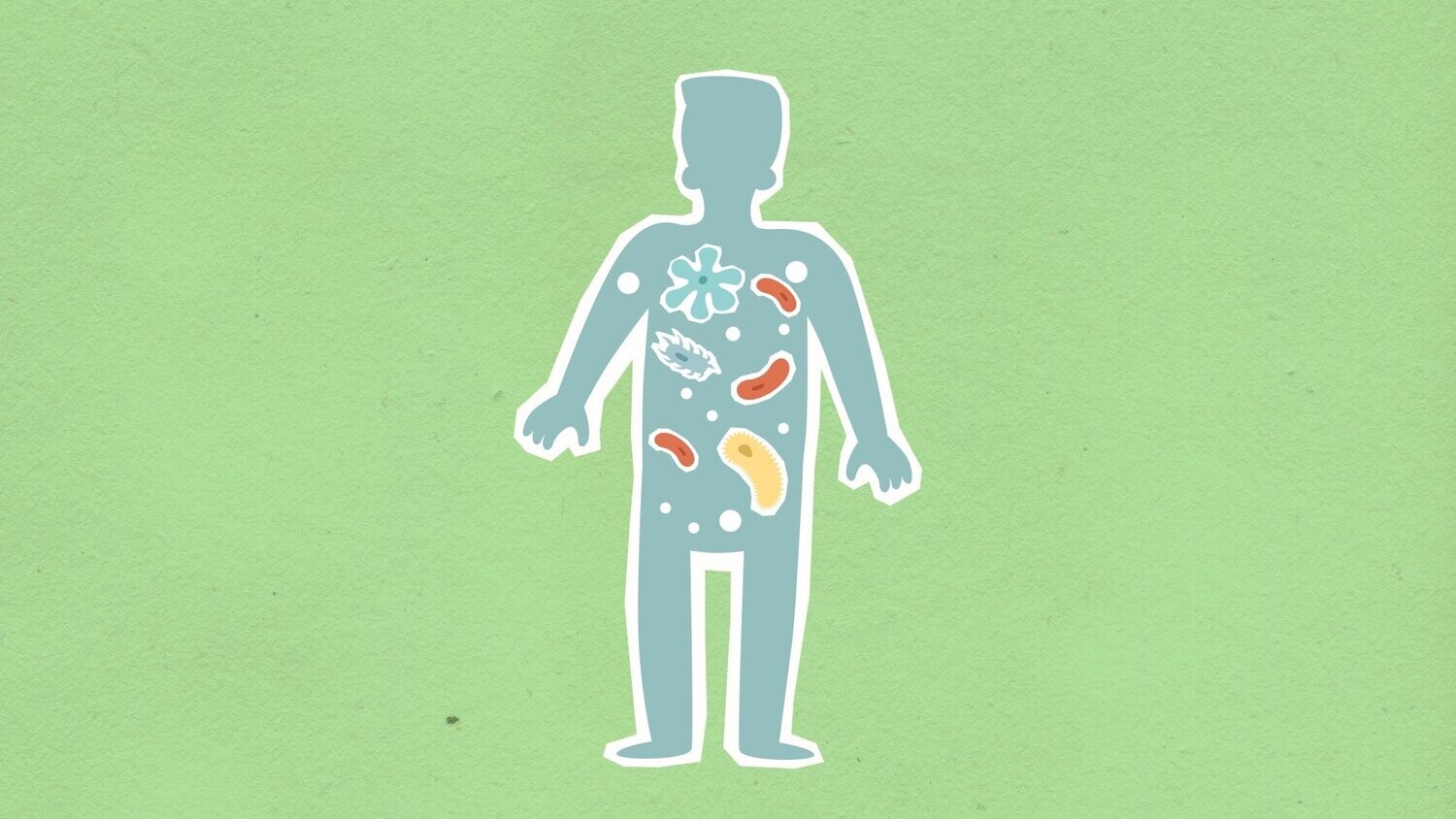 Basic Gut Health (Microbiome) test
