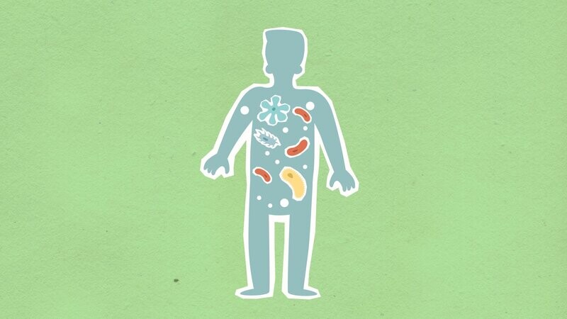 Basic Gut Health (Microbiome) test