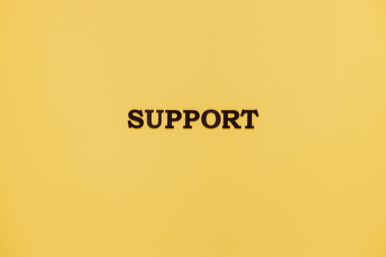 Basic Support Plan (Monthly)