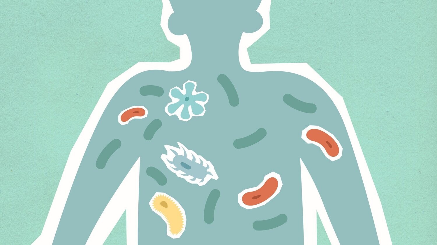 Enhanced Gut Health (Microbiome) test