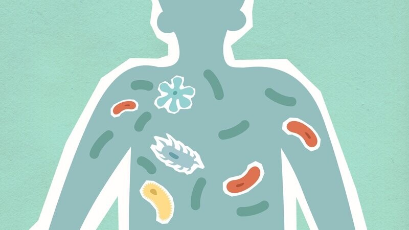 Enhanced Gut Health (Microbiome) test