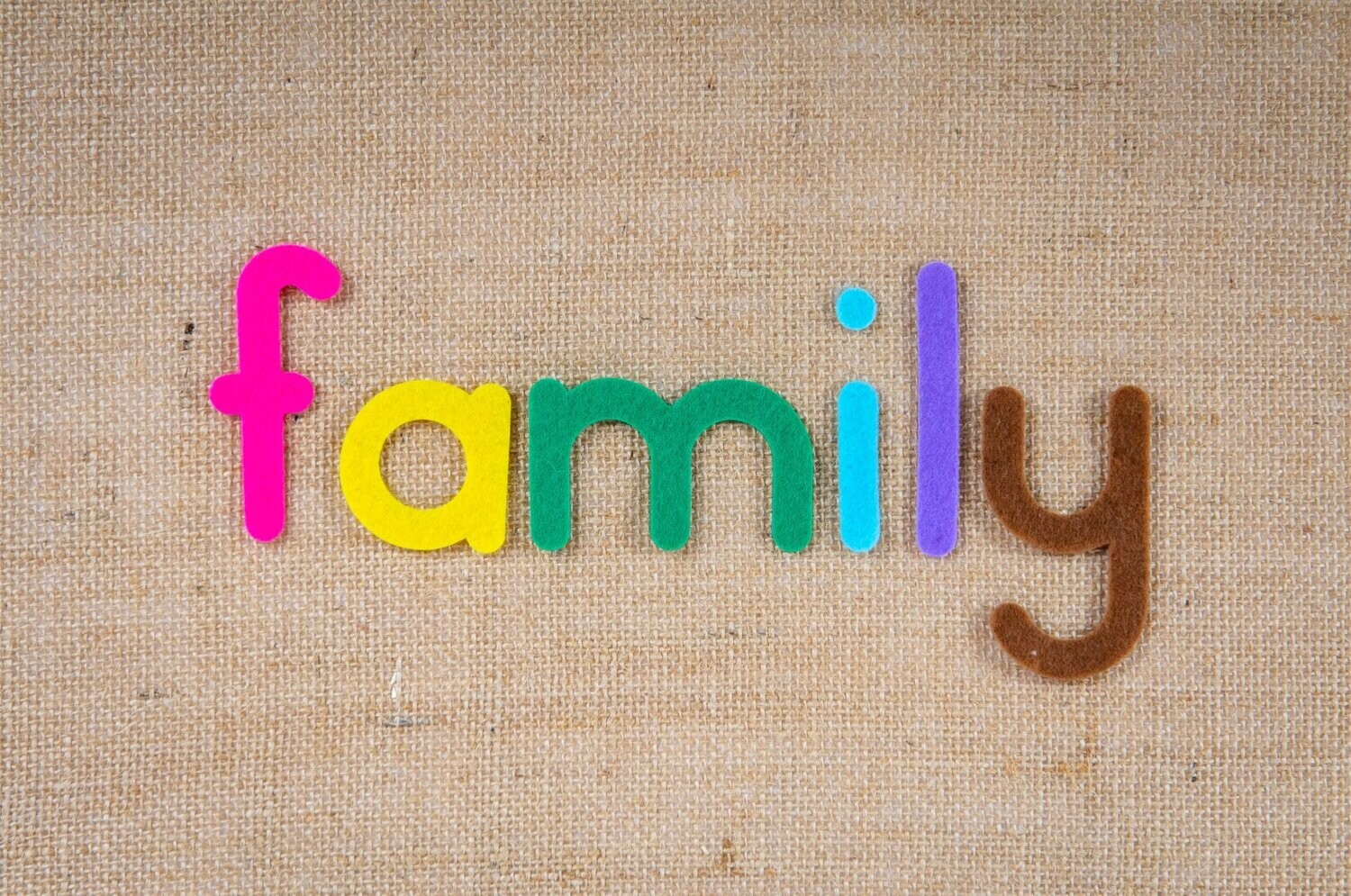 Family Support Plan (Monthly)