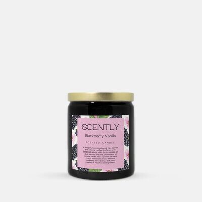 Blackberry Vanilla 8oz Ceramic Candle (ON SALE)