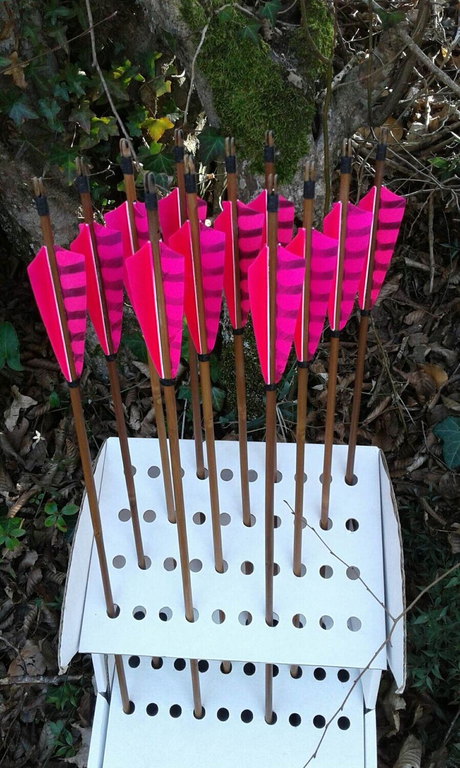 Flèches Bambou Concours "Europe"