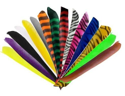 Plumes 1/2 pleine longueur couleurs Zébrées