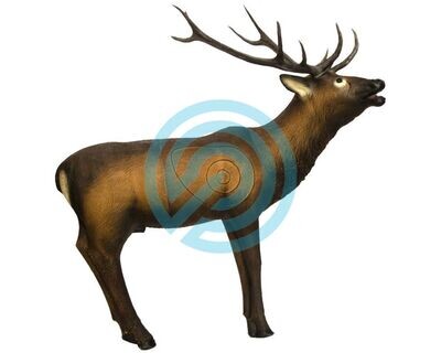 SRT Target 3D Elk Groupe 1