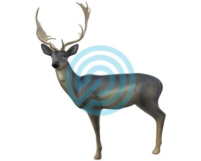 SRT Target 3D Fallow Deer Melas Groupe 1