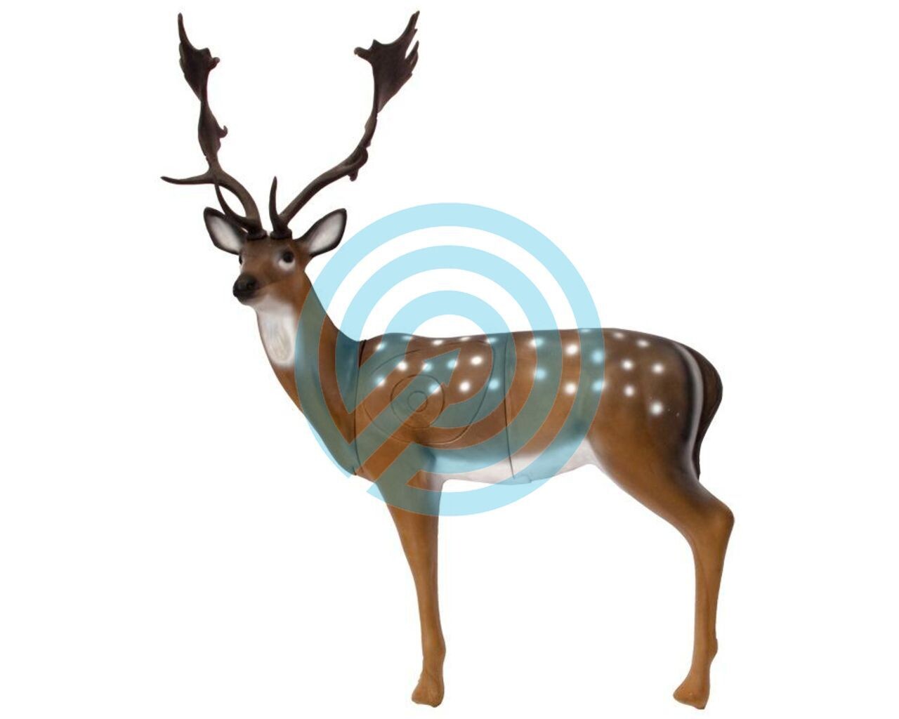 SRT Target 3D Fallow Deer Groupe 1