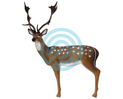 SRT Target 3D Fallow Deer Groupe 1