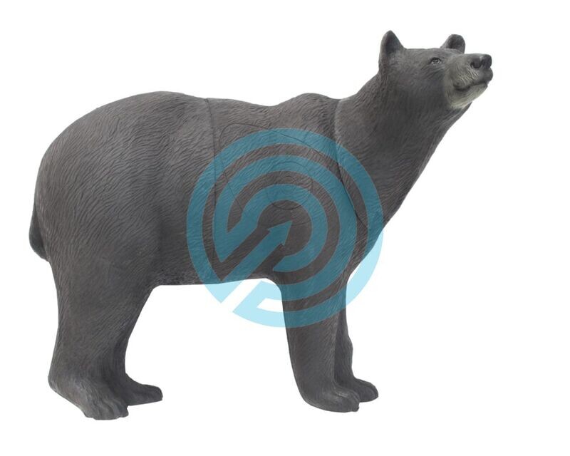 SRT Target 3D Brown Bear Groupe 1