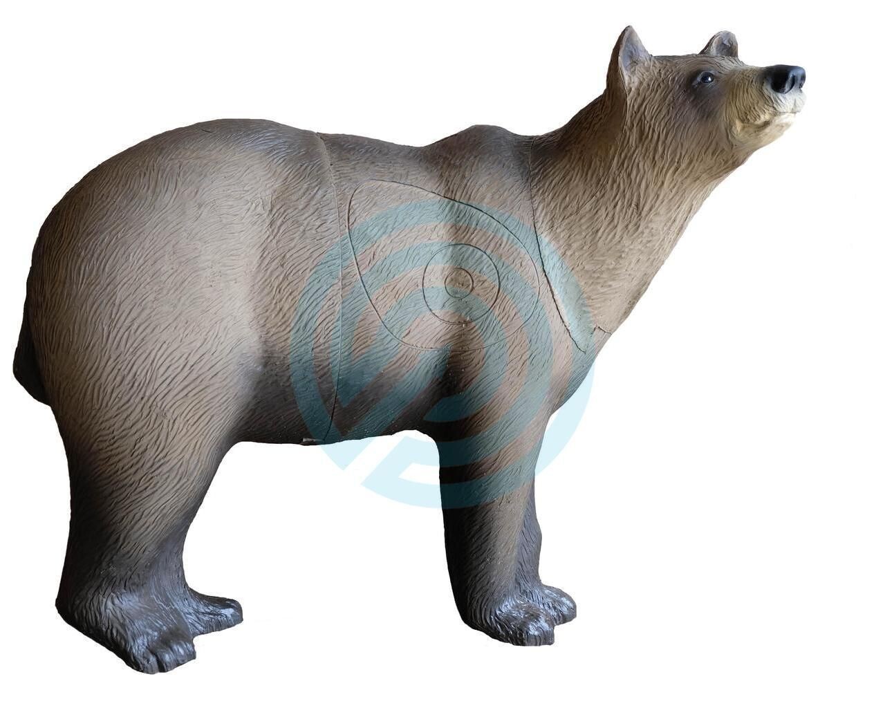 SRT Target 3D Marsicano Bear Groupe 1