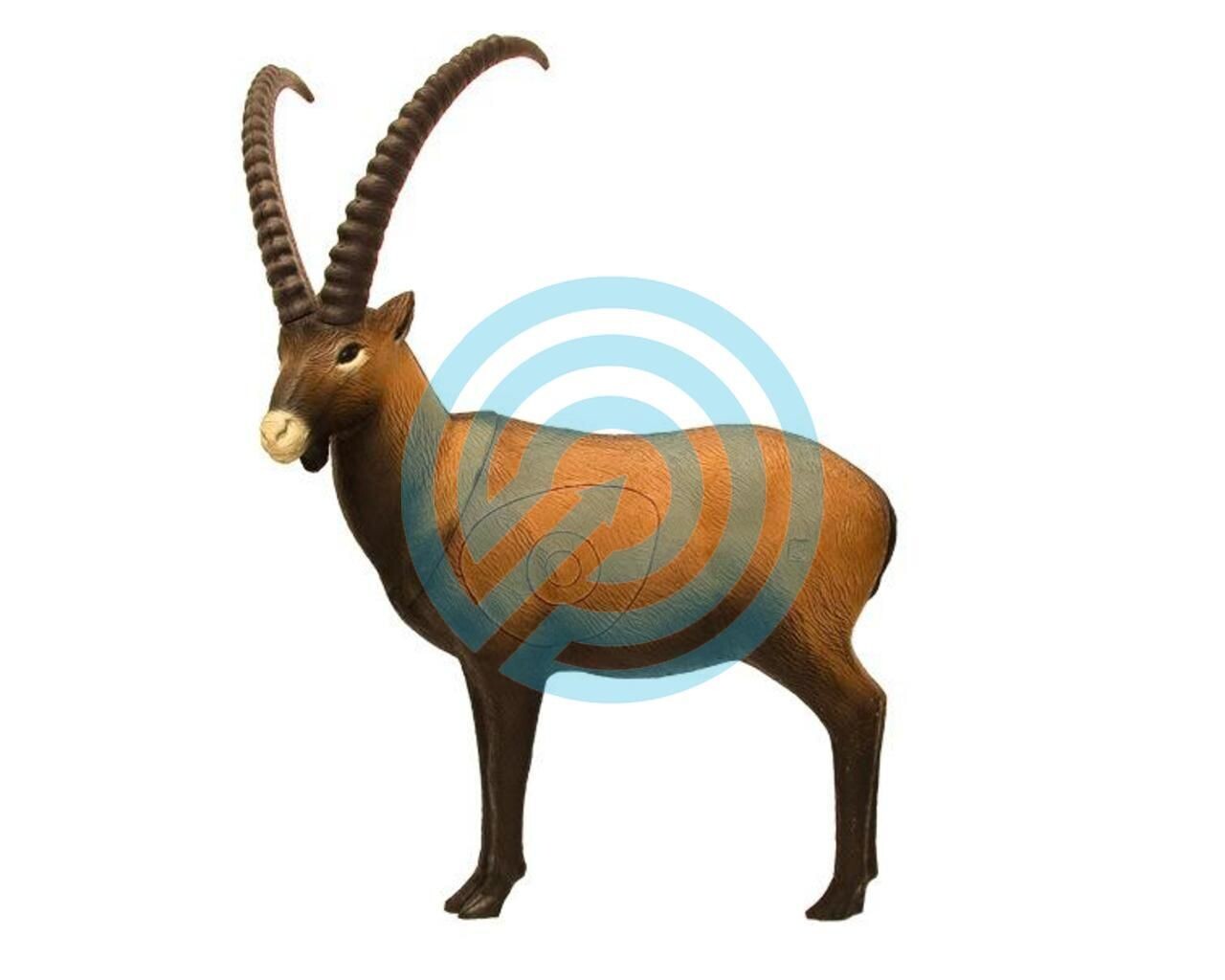 G1 SRT Target 3D Ibex