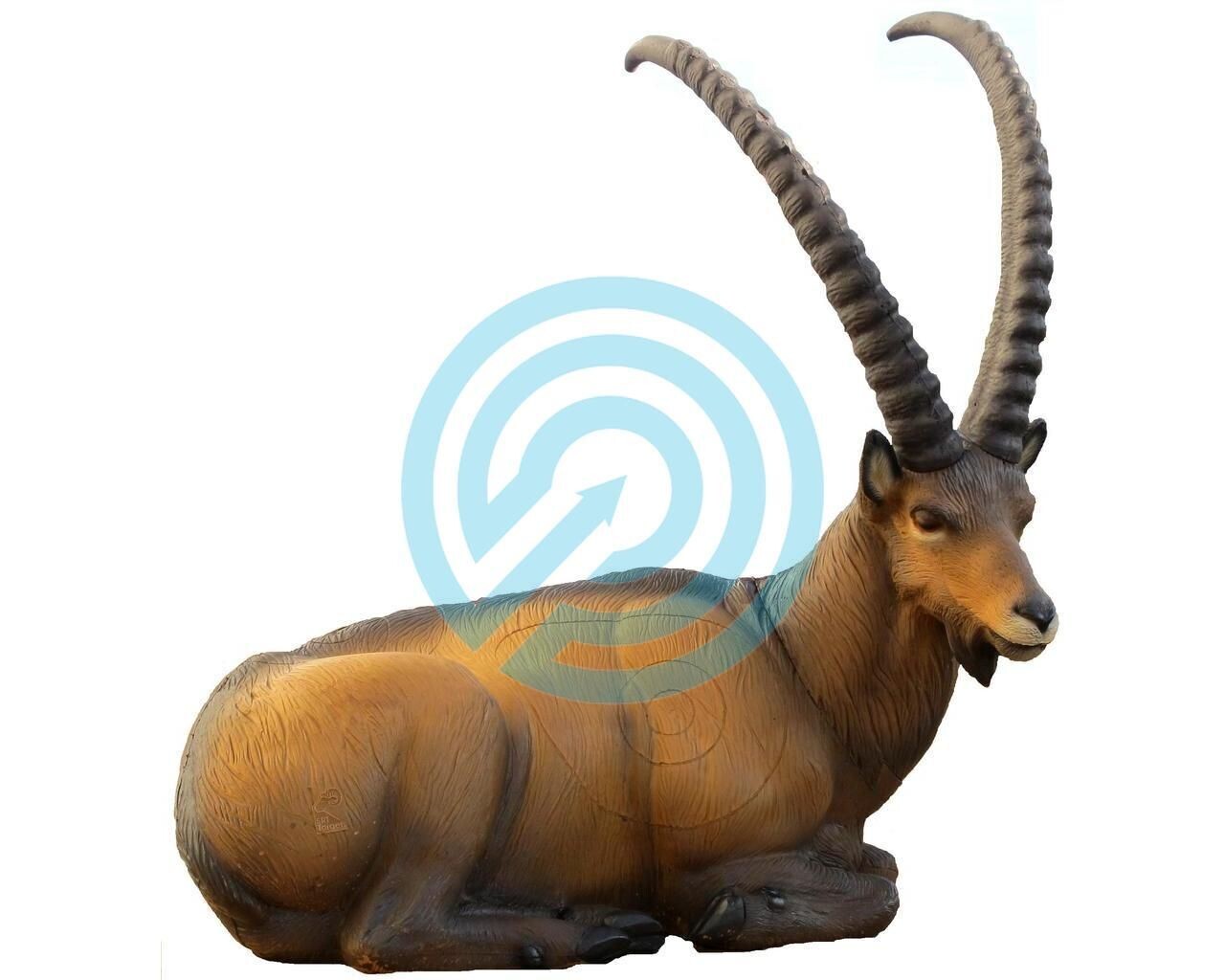 G1 SRT Target 3D Ibex Bedded