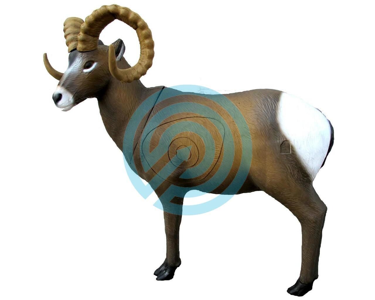 G1 SRT Target 3D Rocky Mountain Sheep