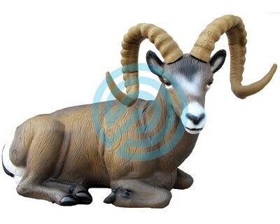 G1 SRT Target 3D Rocky Mountain sheep bedded