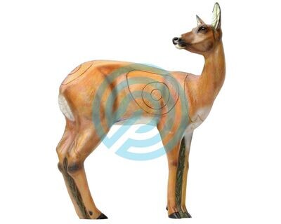 G2 SRT Target 3D Roe Deer VSE Female