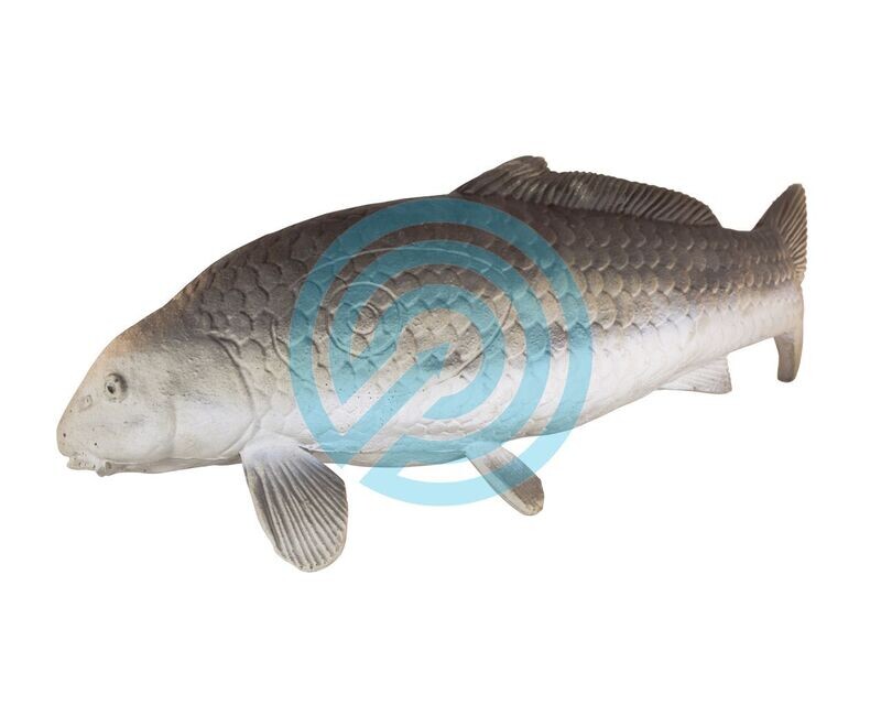 G4 Eleven Target 3D Carpe