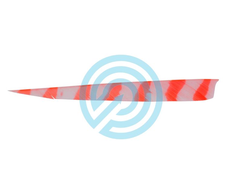 Plumes Shield 5" Trueflight