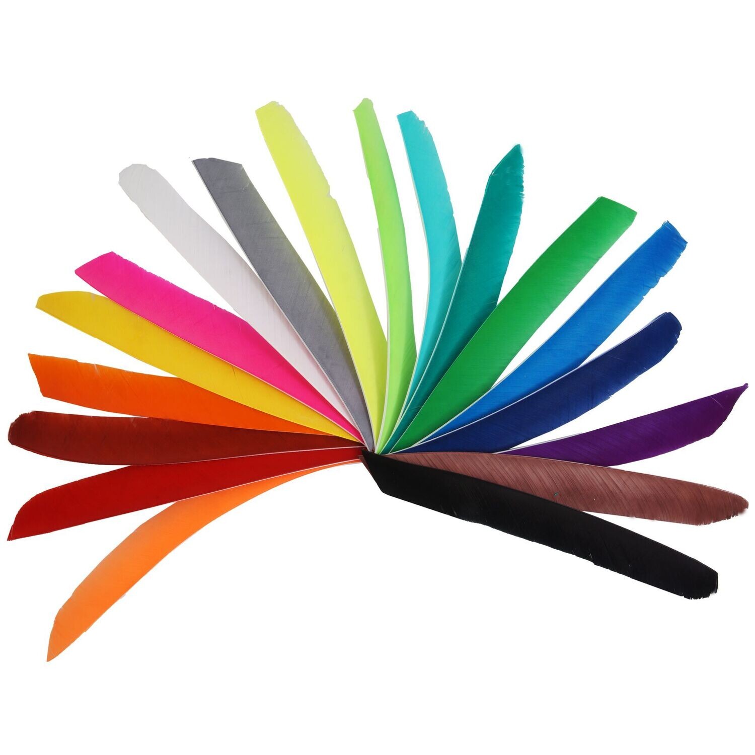 Plumes 1/2 pleine longueur couleurs unies