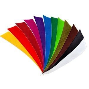 Plumes Shield 2.25 Plumes Shield 2.25"